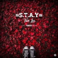 S.T.A.Y