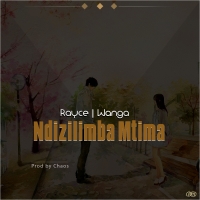 Ndizilimba Mtima