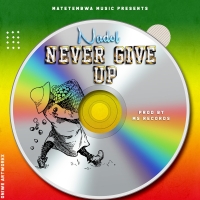 Never Give Up