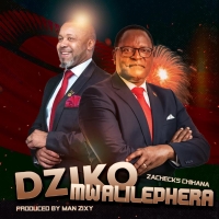 Dziko Mwalilephera