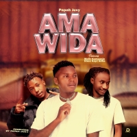 Amawida