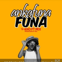 Ankafunafuna