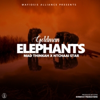 Elephants