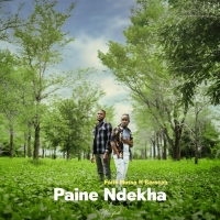 Paine Ndekha