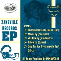 Zaniville Records EP