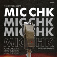 Mic Chk EP