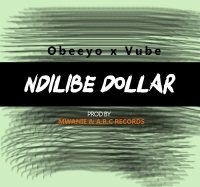 Ndilibe Dollar