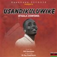 Usandikuluwike