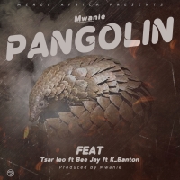 Pangolin 