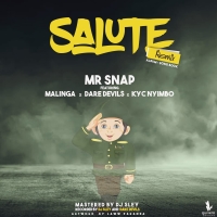 Salute [Remix]