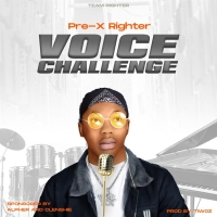 Voice Challenge