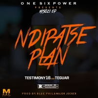 Ndipatse Plan