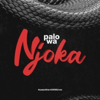 Palowa Njoka