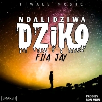 Ndalidziwa Dziko