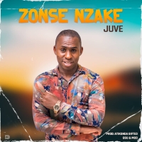 Zonse Nzake