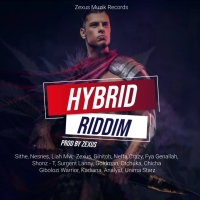 Hybrid Riddim Medley