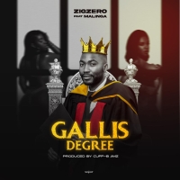 Gallis Degree