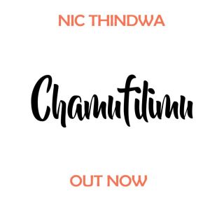 Nic Thindwa 