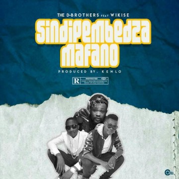 Sindipemedza Mafano 