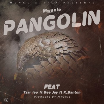 Pangolin  