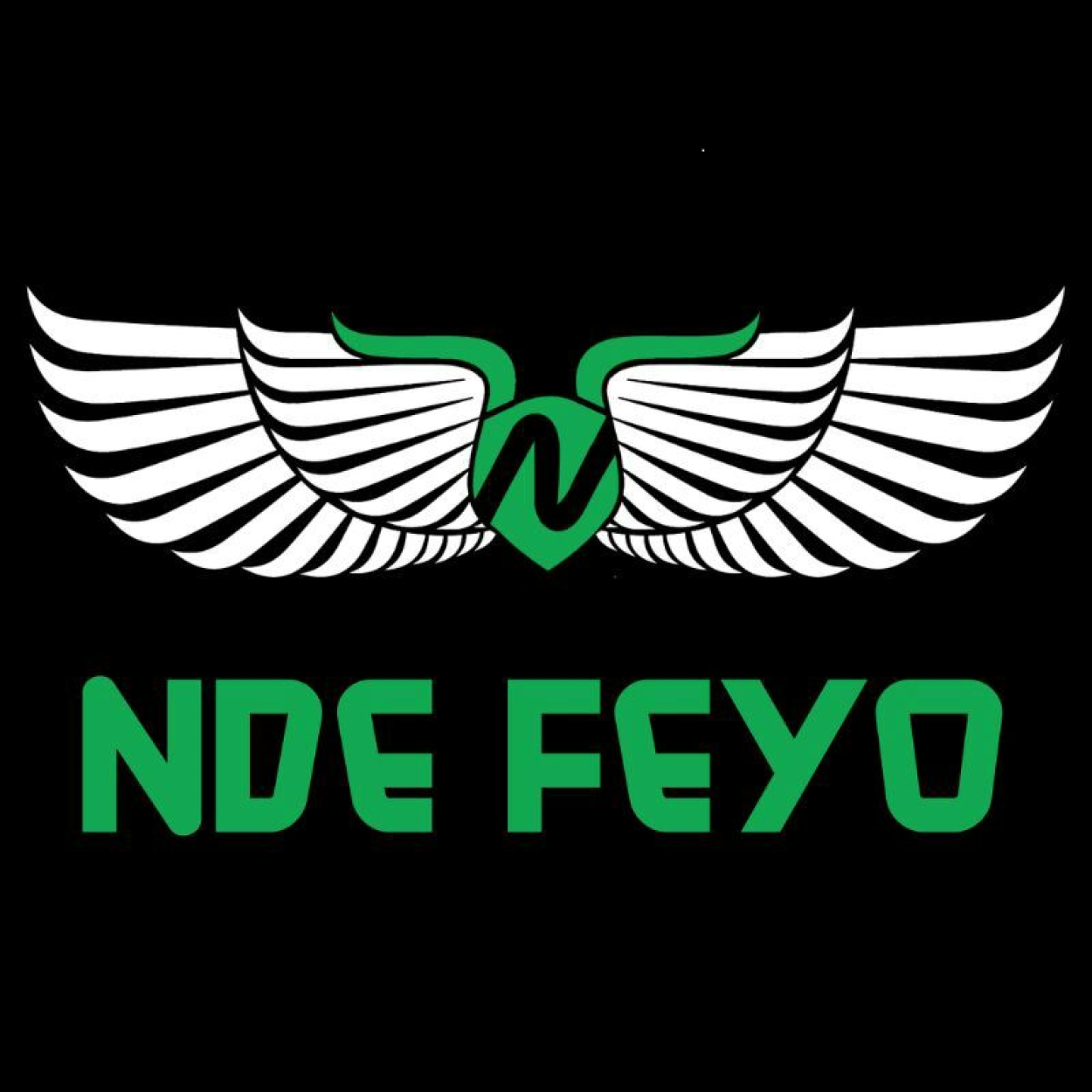 Ndefeyo Entertainment 