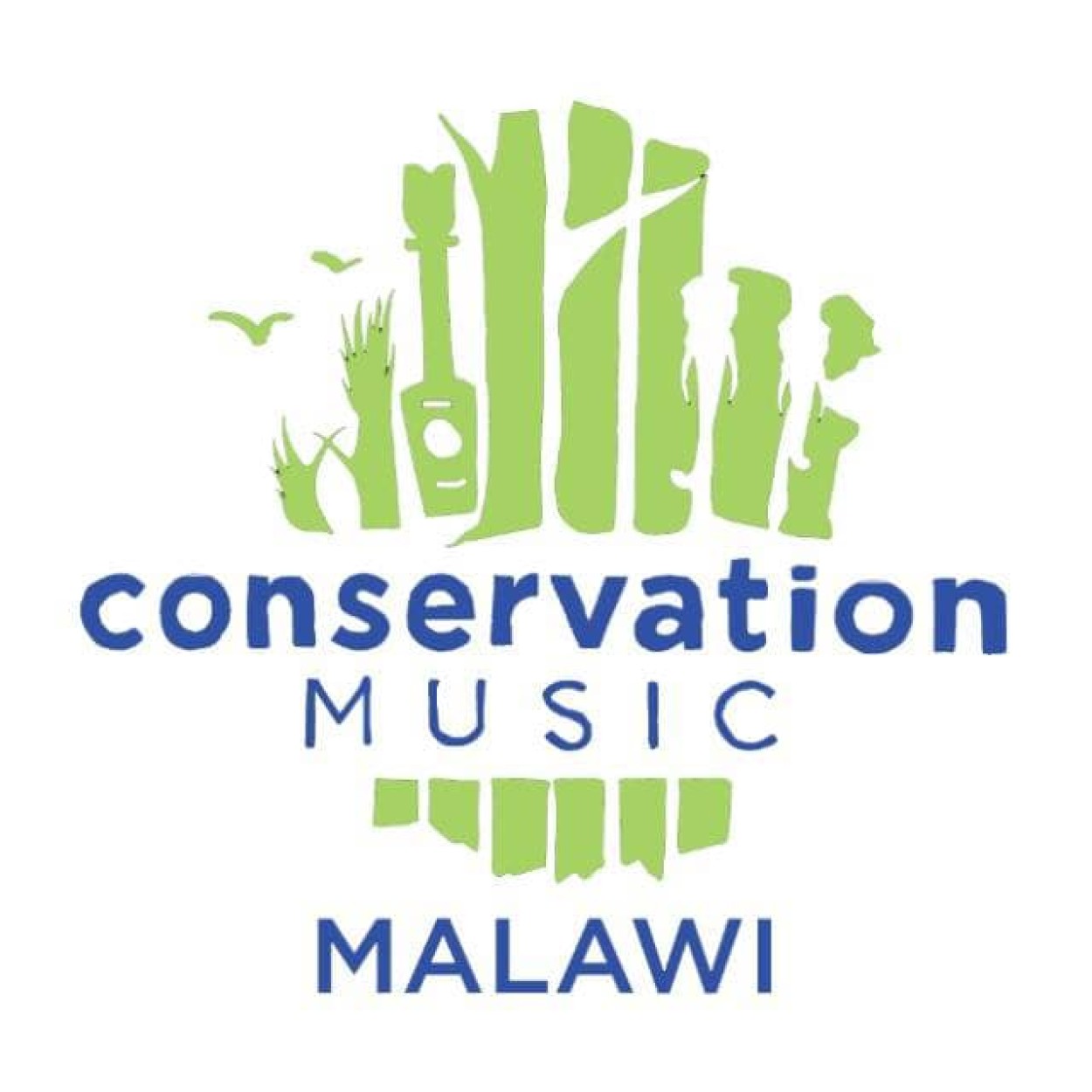 Conservation Music Malawi 